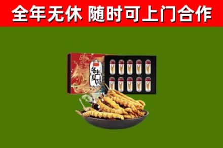 襄城回收冬虫夏草价格